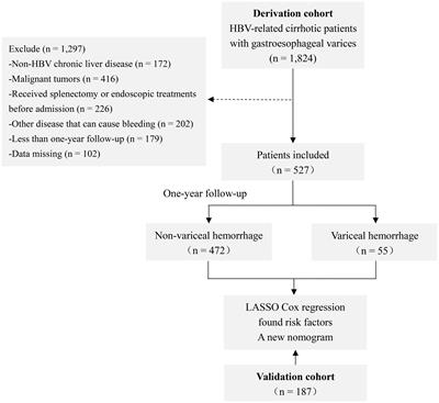 A novel prognostic model for predicting the risk of first variceal hemorrhage in patients with HBV-related cirrhosis